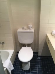 IMG_0368.JPG IMG_0368.JPG