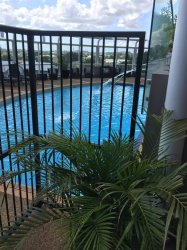 IMG_0384.JPG IMG_0384.JPG