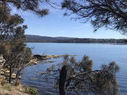 IMG_7389.JPG IMG_7389.JPG