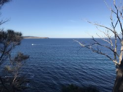 949B0B9C-3C60-4E78-87D4-561B52D2811A.jpeg 949B0B9C-3C60-4E78-87D4-561B52D2811A.jpeg