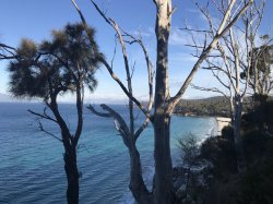 57D85D04-3C53-499A-BD54-EA2F2B5479D6.jpeg 57D85D04-3C53-499A-BD54-EA2F2B5479D6.jpeg