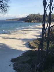 0BF0DC1F-EC47-4C38-ADCA-63AA5A4A077D.jpeg 0BF0DC1F-EC47-4C38-ADCA-63AA5A4A077D.jpeg