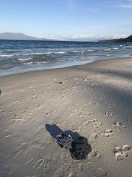 8FD92E68-3423-40C5-BBF1-881D1AEF5AC8.jpeg 8FD92E68-3423-40C5-BBF1-881D1AEF5AC8.jpeg