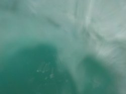 Surf 3.JPG Surf 3.JPG