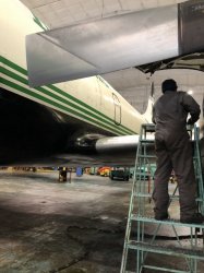 IMG_0545 (480x640).jpg