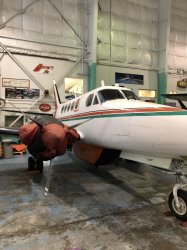 IMG_0546 (480x640).jpg