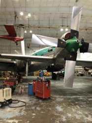 IMG_0547 (480x640).jpg