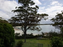 IMAG0688.jpg IMAG0688.jpg