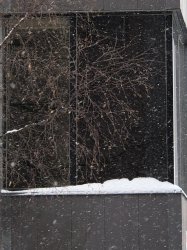 IMG_0571 (480x640).jpg IMG_0571 (480x640).jpg