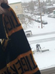 IMG_0562 (480x640).jpg IMG_0562 (480x640).jpg