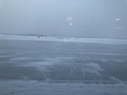 IMG_0574 (640x480).jpg IMG_0574 (640x480).jpg