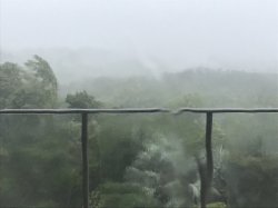 83BE69BD-5C1F-447D-ABED-25F6E858B8F1.jpeg 83BE69BD-5C1F-447D-ABED-25F6E858B8F1.jpeg