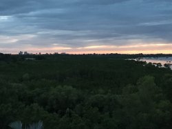 1A642C10-D378-4A6E-A351-AC73339652EA.jpeg 1A642C10-D378-4A6E-A351-AC73339652EA.jpeg