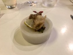 EFD86BAB-F9DA-442A-A353-C34311506DE2.jpeg EFD86BAB-F9DA-442A-A353-C34311506DE2.jpeg