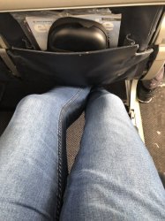 IMG_0586 (480x640).jpg IMG_0586 (480x640).jpg