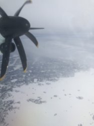 IMG_0595 (480x640).jpg IMG_0595 (480x640).jpg