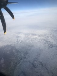 IMG_0601 (480x640).jpg IMG_0601 (480x640).jpg