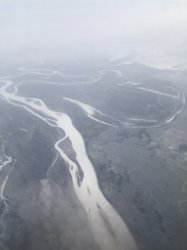 IMG_0611 (480x640).jpg IMG_0611 (480x640).jpg