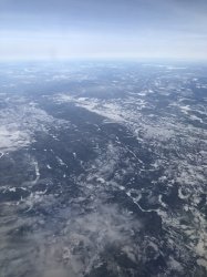 IMG_0617 (480x640).jpg IMG_0617 (480x640).jpg