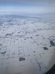 IMG_0628 (480x640).jpg IMG_0628 (480x640).jpg