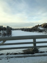 IMG_0653 (480x640).jpg IMG_0653 (480x640).jpg