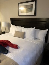 IMG_0655 (480x640).jpg IMG_0655 (480x640).jpg