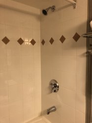 IMG_0659 (480x640).jpg IMG_0659 (480x640).jpg