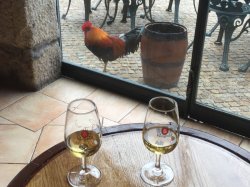 51B6AB87-159F-4676-A453-612C0470887B.jpeg 51B6AB87-159F-4676-A453-612C0470887B.jpeg