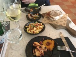 6A67BD84-C2BE-4851-8041-6607E7736F5D.jpeg 6A67BD84-C2BE-4851-8041-6607E7736F5D.jpeg