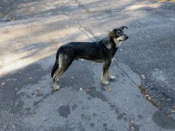 IMG_20161006_085823.jpg IMG_20161006_085823.jpg