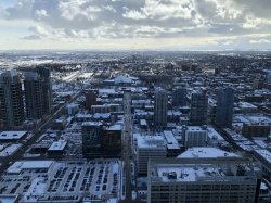 IMG_0678 (640x480).jpg IMG_0678 (640x480).jpg