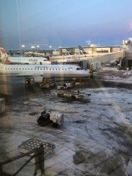 IMG_0731 (480x640).jpg IMG_0731 (480x640).jpg