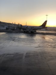 IMG_0735 (480x640).jpg IMG_0735 (480x640).jpg