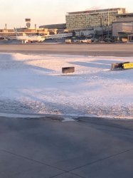 IMG_0748 (480x640).jpg IMG_0748 (480x640).jpg