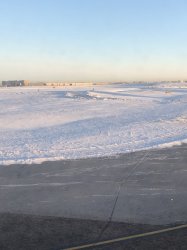 IMG_0757 (480x640).jpg IMG_0757 (480x640).jpg