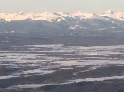 IMG_0766 (640x480).jpg IMG_0766 (640x480).jpg