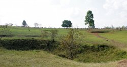 p5.JPG p5.JPG
