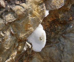 p6.JPG p6.JPG