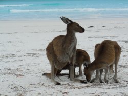 DSCN4057.JPG DSCN4057.JPG