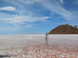 DSCN3948.JPG DSCN3948.JPG