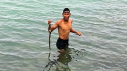 The catch - Koki.jpg The catch - Koki.jpg