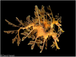 upload_2018-4-1_10-7-14.png upload_2018-4-1_10-7-14.png