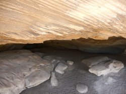 1-Coona 2011 018.jpg