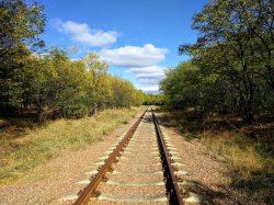 IMG_20161006_124402.jpg IMG_20161006_124402.jpg