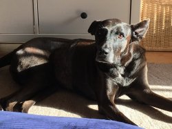 CCEC7871-54DB-4E8F-9C6F-1E1EF1146597.jpeg CCEC7871-54DB-4E8F-9C6F-1E1EF1146597.jpeg