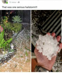 Screenshot_20180414-094011.jpg Screenshot_20180414-094011.jpg