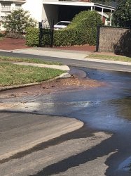 5F5F8D8F-DB32-42AF-8F47-434F29F9D4CE.jpeg 5F5F8D8F-DB32-42AF-8F47-434F29F9D4CE.jpeg