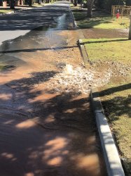 41E64BD4-46BD-4AA2-B32A-A7682D3989D3.jpeg 41E64BD4-46BD-4AA2-B32A-A7682D3989D3.jpeg