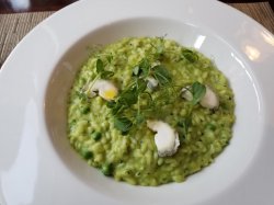 20180421_194619.jpg 20180421_194619.jpg