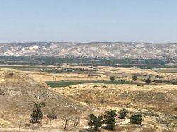 17710110-7CE8-438A-9213-9B03E328593A.jpeg 17710110-7CE8-438A-9213-9B03E328593A.jpeg